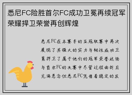 悉尼FC险胜首尔FC成功卫冕再续冠军荣耀捍卫荣誉再创辉煌